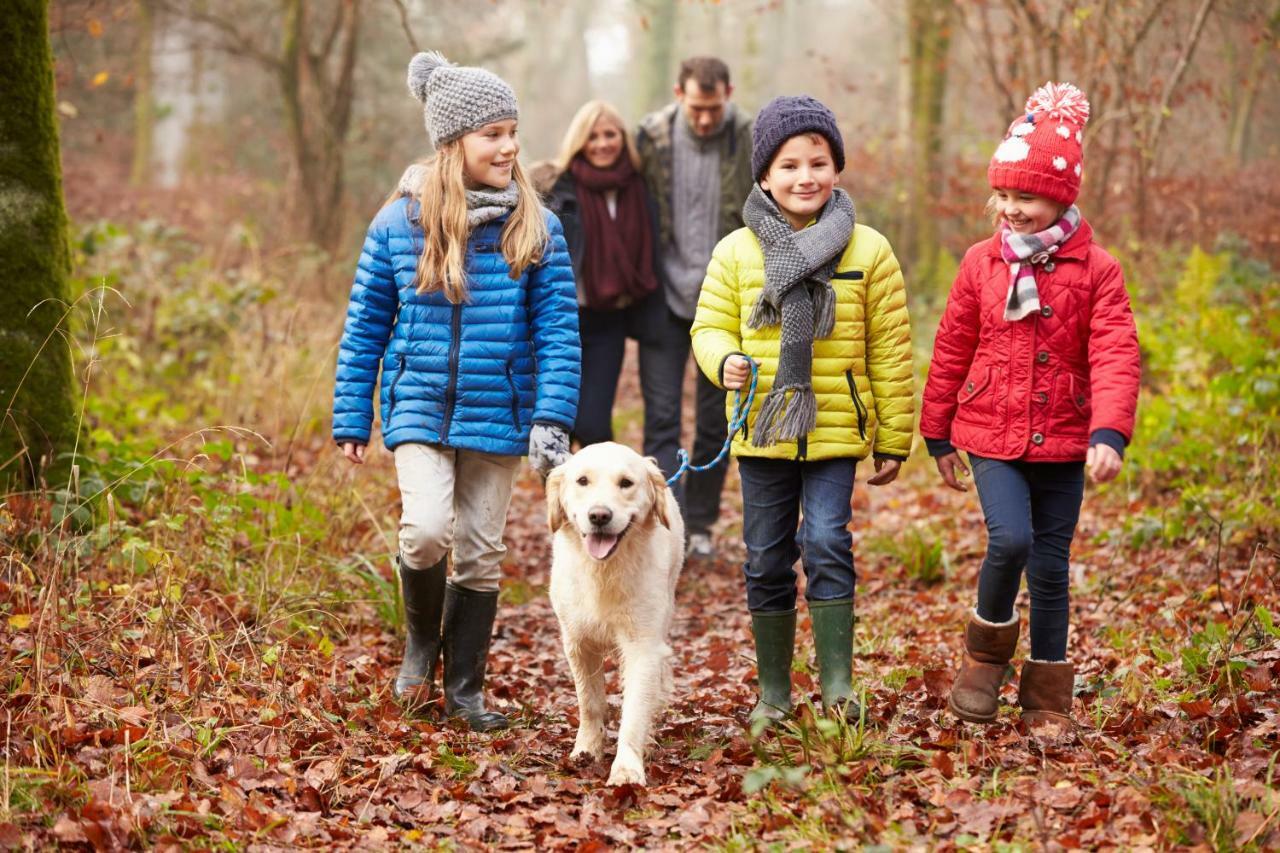 Macdonald Woodland Lodges At Macdonald Aviemore Resort מראה חיצוני תמונה